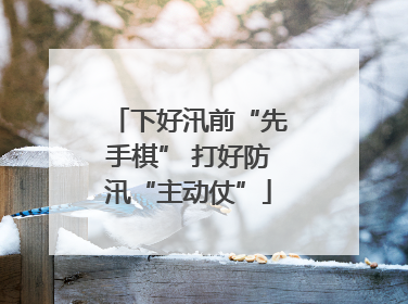 下好汛前“先手棋” 打好防汛“主动仗”
