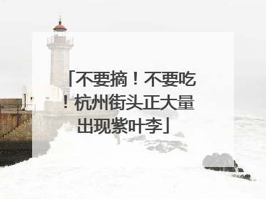 不要摘！不要吃！杭州街头正大量出现紫叶李