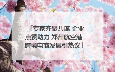 专家齐聚共谋 企业点赞助力 郑州航空港跨境电商发展引热议