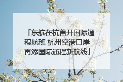 东航在杭首开国际通程航班 杭州空港口岸再添国际通程新航线