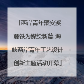 两岸青年聚安溪 藤铁为媒绘新篇 海峡两岸青年工艺设计创新主题活动开幕