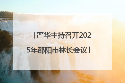 严华主持召开2025年邵阳市林长会议