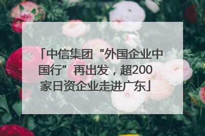 中信集团“外国企业中国行”再出发，超200家日资企业走进广东