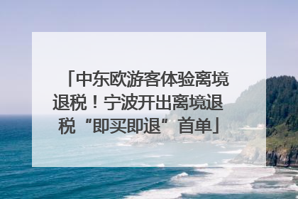 中东欧游客体验离境退税！宁波开出离境退税“即买即退”首单