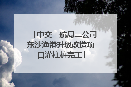 中交一航局二公司东沙渔港升级改造项目灌柱桩完工