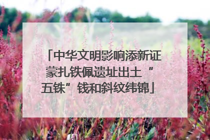 中华文明影响添新证 蒙扎铁佩遗址出土“五铢”钱和斜纹纬锦