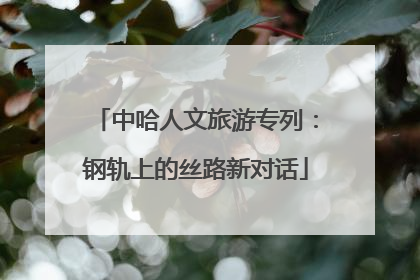 中哈人文旅游专列：钢轨上的丝路新对话