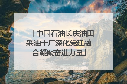 中国石油长庆油田采油十厂深化党建融合凝聚奋进力量