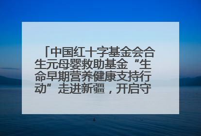 中国红十字基金会合生元母婴救助基金“生命早期营养健康支持行动”走进新疆，开启守护母婴新篇章！