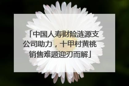 中国人寿财险涟源支公司助力，十甲村黄桃销售难题迎刃而解