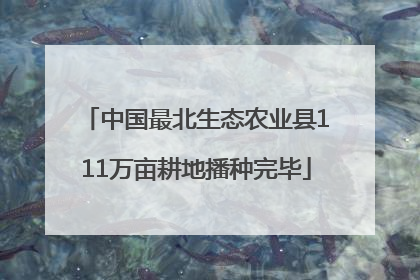 中国最北生态农业县111万亩耕地播种完毕