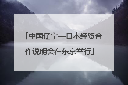 中国辽宁—日本经贸合作说明会在东京举行