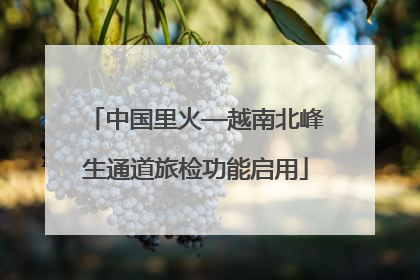 中国里火—越南北峰生通道旅检功能启用