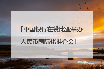 中国银行在赞比亚举办人民币国际化推介会