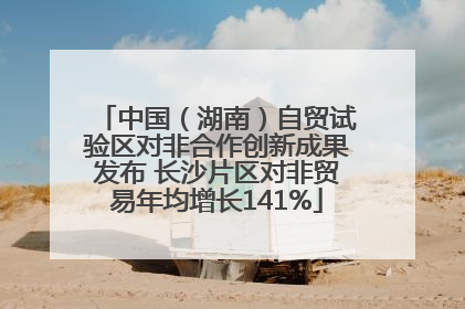 中国（湖南）自贸试验区对非合作创新成果发布 长沙片区对非贸易年均增长141%