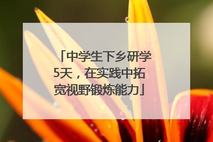 中学生下乡研学5天，在实践中拓宽视野锻炼能力