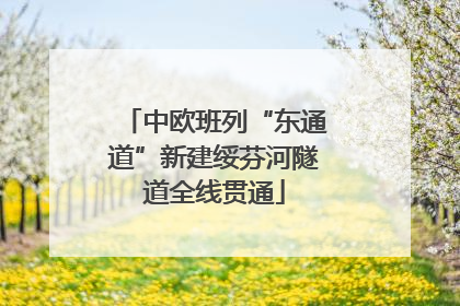 中欧班列“东通道”新建绥芬河隧道全线贯通