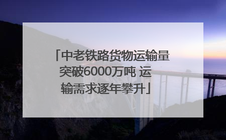 中老铁路货物运输量突破6000万吨 运输需求逐年攀升