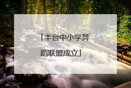 丰台中小学舞蹈联盟成立
