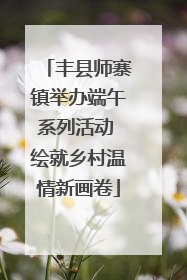丰县师寨镇举办端午系列活动 绘就乡村温情新画卷