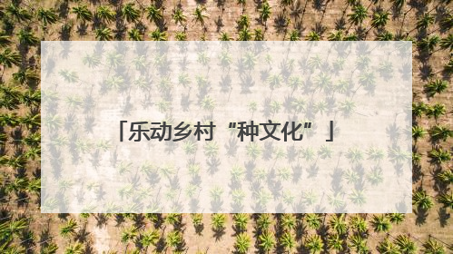 乐动乡村“种文化”