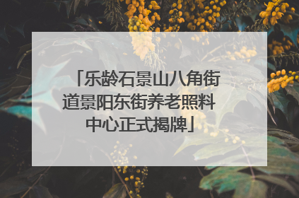 乐龄石景山八角街道景阳东街养老照料中心正式揭牌