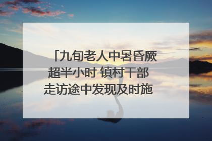 九旬老人中暑昏厥超半小时 镇村干部走访途中发现及时施救｜看见正能量