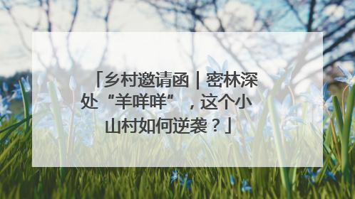 乡村邀请函｜密林深处“羊咩咩”，这个小山村如何逆袭？