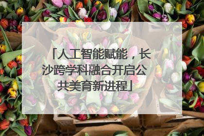 人工智能赋能，长沙跨学科融合开启公共美育新进程