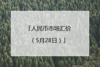 人民币市场汇价（5月28日）