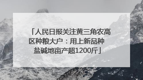 人民日报关注黄三角农高区种粮大户：用上新品种 盐碱地亩产超1200斤