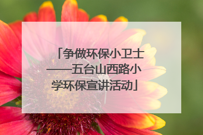 争做环保小卫士——五台山西路小学环保宣讲活动