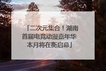 二次元集合！湖南首届电竞动漫嘉年华本月将在衡启幕