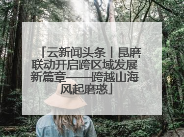 云新闻头条丨昆磨联动开启跨区域发展新篇章——跨越山海 风起磨憨