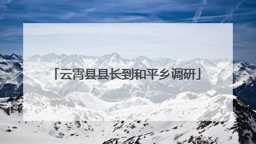 云霄县县长到和平乡调研