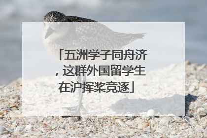 五洲学子同舟济，这群外国留学生在沪挥桨竞逐