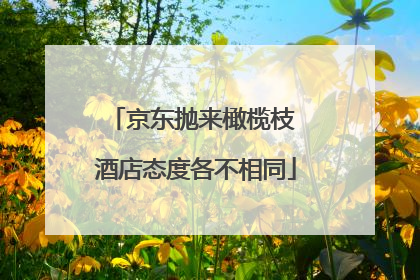 京东抛来橄榄枝 酒店态度各不相同