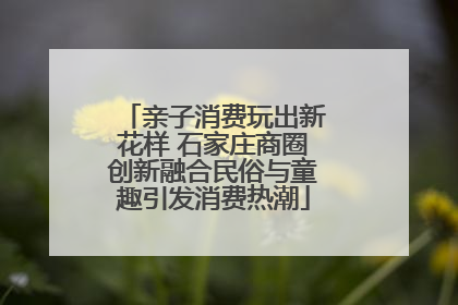 亲子消费玩出新花样 石家庄商圈创新融合民俗与童趣引发消费热潮