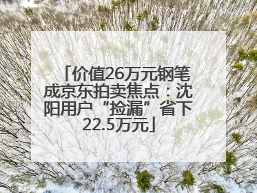 价值26万元钢笔成京东拍卖焦点：沈阳用户“捡漏”省下22.5万元