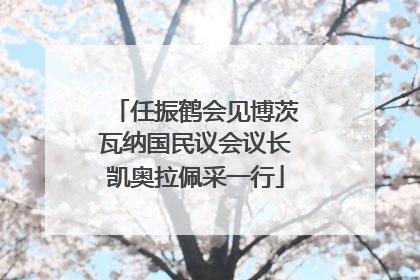 任振鹤会见博茨瓦纳国民议会议长凯奥拉佩采一行
