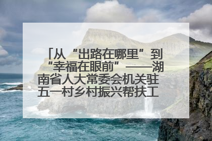 从“出路在哪里”到“幸福在眼前”——湖南省人大常委会机关驻五一村乡村振兴帮扶工作队书写振兴答卷
