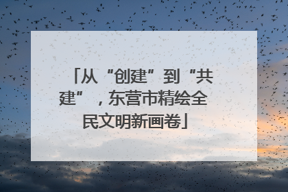 从“创建”到“共建”，东营市精绘全民文明新画卷