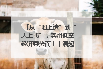 从“地上造”到“天上飞”，滨州低空经济乘势而上｜潮起渤海・网聚黄蓝