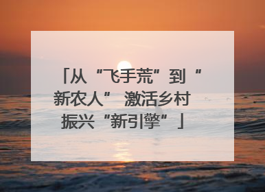 从“飞手荒”到“新农人” 激活乡村振兴“新引擎”