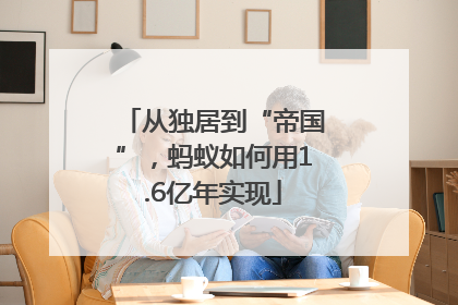 从独居到“帝国”，蚂蚁如何用1.6亿年实现