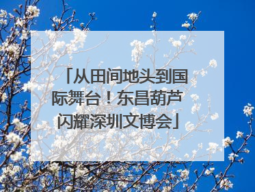 从田间地头到国际舞台！东昌葫芦闪耀深圳文博会
