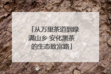 从万里茶道到绿满山乡 安化黑茶的生态致富路