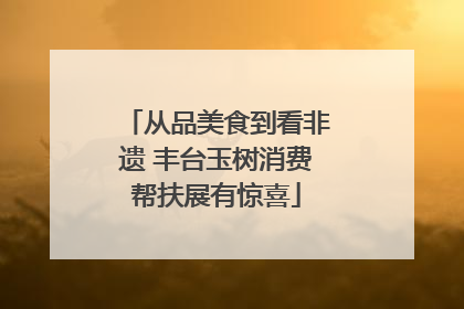 从品美食到看非遗 丰台玉树消费帮扶展有惊喜