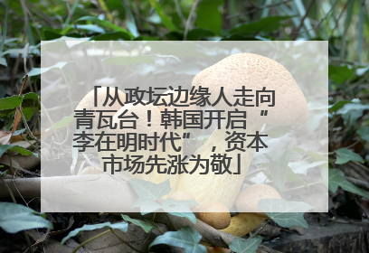 从政坛边缘人走向青瓦台！韩国开启“李在明时代”，资本市场先涨为敬