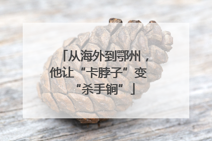 从海外到鄂州，他让“卡脖子”变“杀手锏”